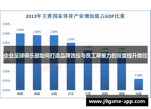 企业足球俱乐部如何打造品牌效应与员工凝聚力的双重提升路径