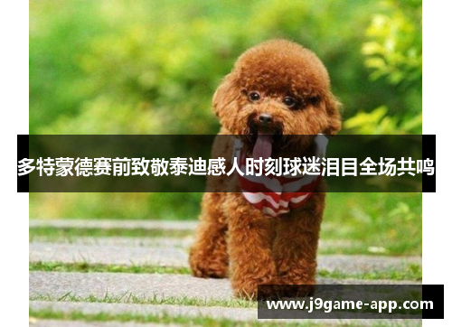 多特蒙德赛前致敬泰迪感人时刻球迷泪目全场共鸣