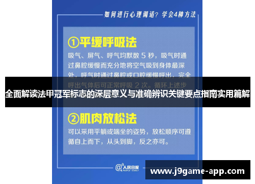 全面解读法甲冠军标志的深层意义与准确辨识关键要点指南实用篇解